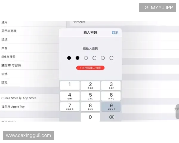 亚星游戏官网登录入口忘记密码如何安全重置，确保账号信息不被泄露